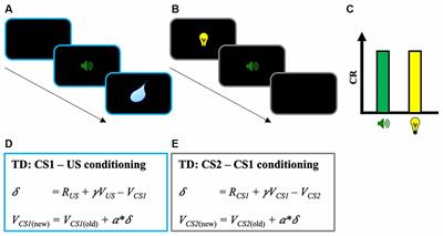 Higher-Order Conditioning With Simultaneous and Backward Conditioned Stimulus: Implications for Models of Pavlovian Conditioning